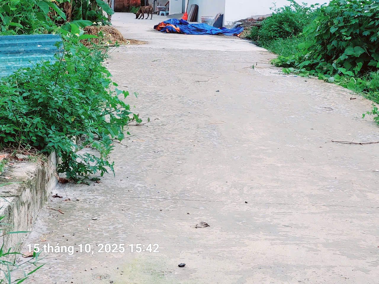 Bán đất 46.8m² mặt tiền đường rộng, giá 2 tỷ tại Tân Ước, Ứng Hòa, Hà Nội