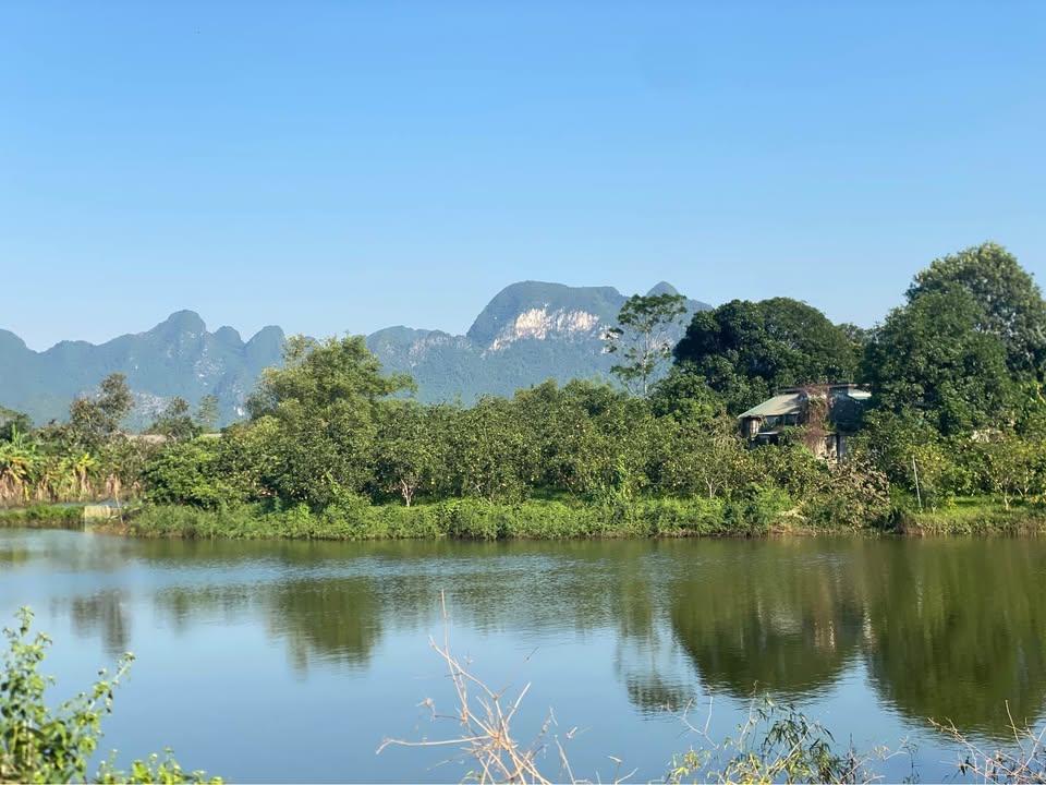 Tìm kiếm chốn "thiên đường" để nghỉ dưỡng hay đầu tư sinh lời