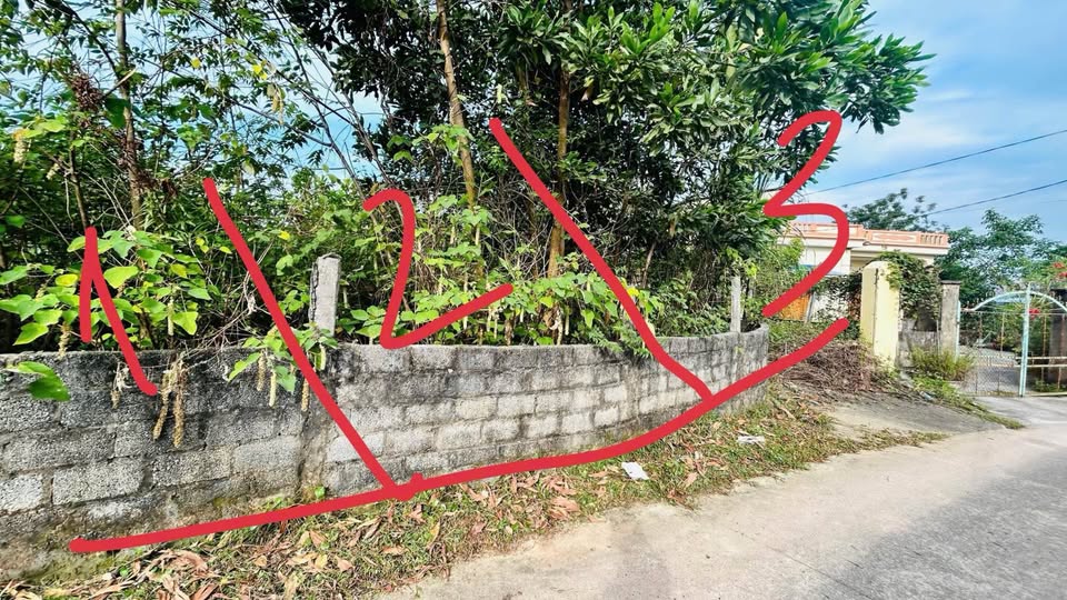 Cơ hội vàng sở hữu ngay 3 lô đất nền tại xóm Cây Xanh, Quyết Thắng, tỉnh Thái Nguyên