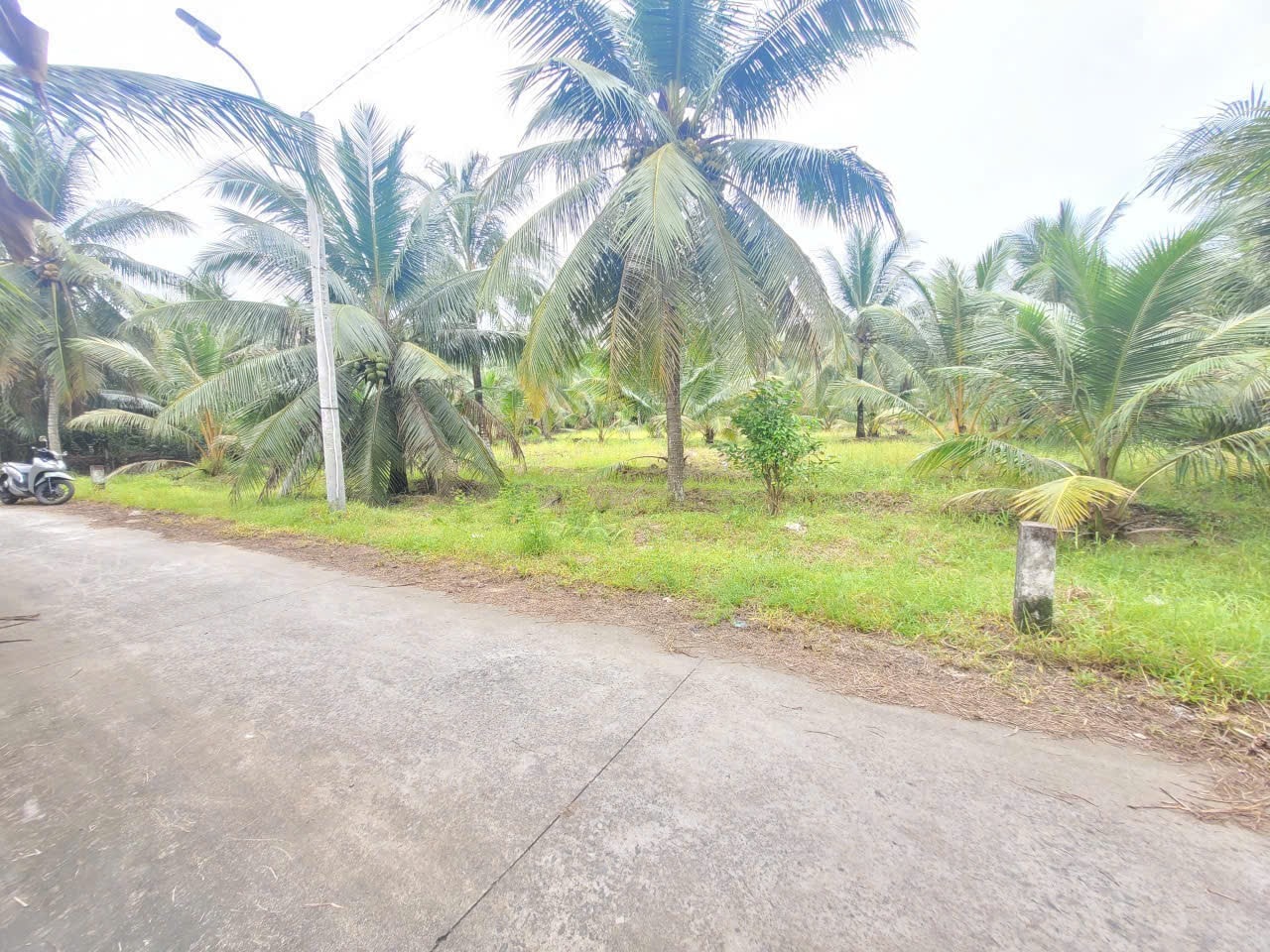 Đất vườn Sơn Đông rẻ nhất khu vực, xe 16 chỗ tới tận ngõ