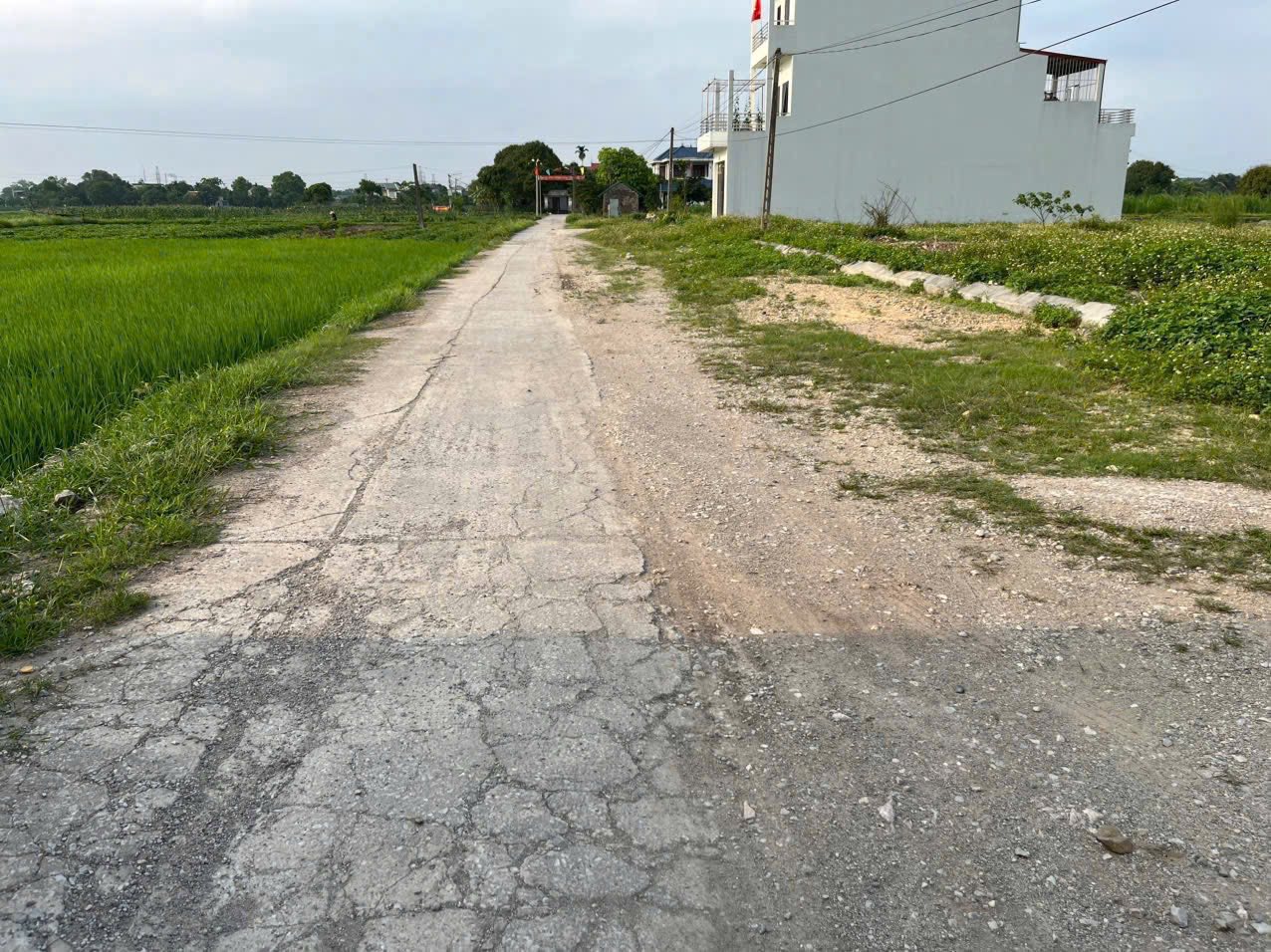 Bán đất 100m2 mặt tiền 5m tại Bình Lục, Hà Nam