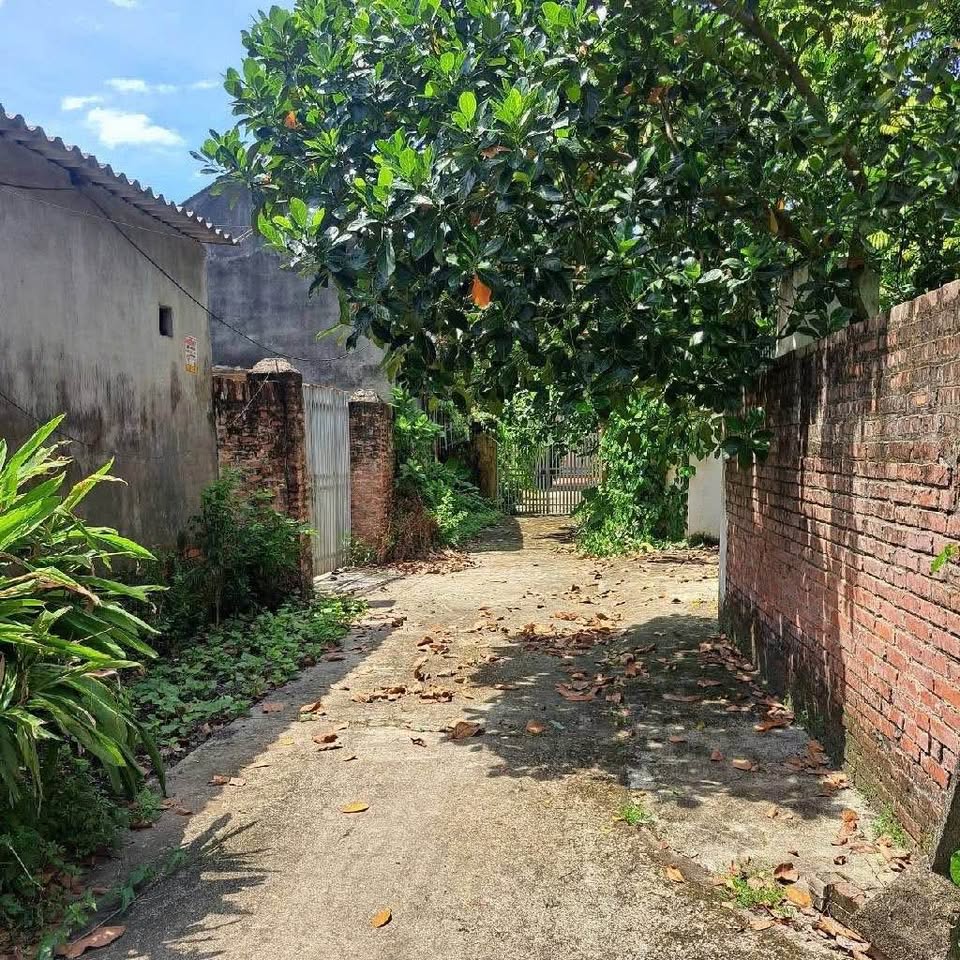 Cơ hội sở hữu lô đất vuông vắn tại Nguyệt Đức, Thuận Thành, Bắc Ninh với diện tích 90m²