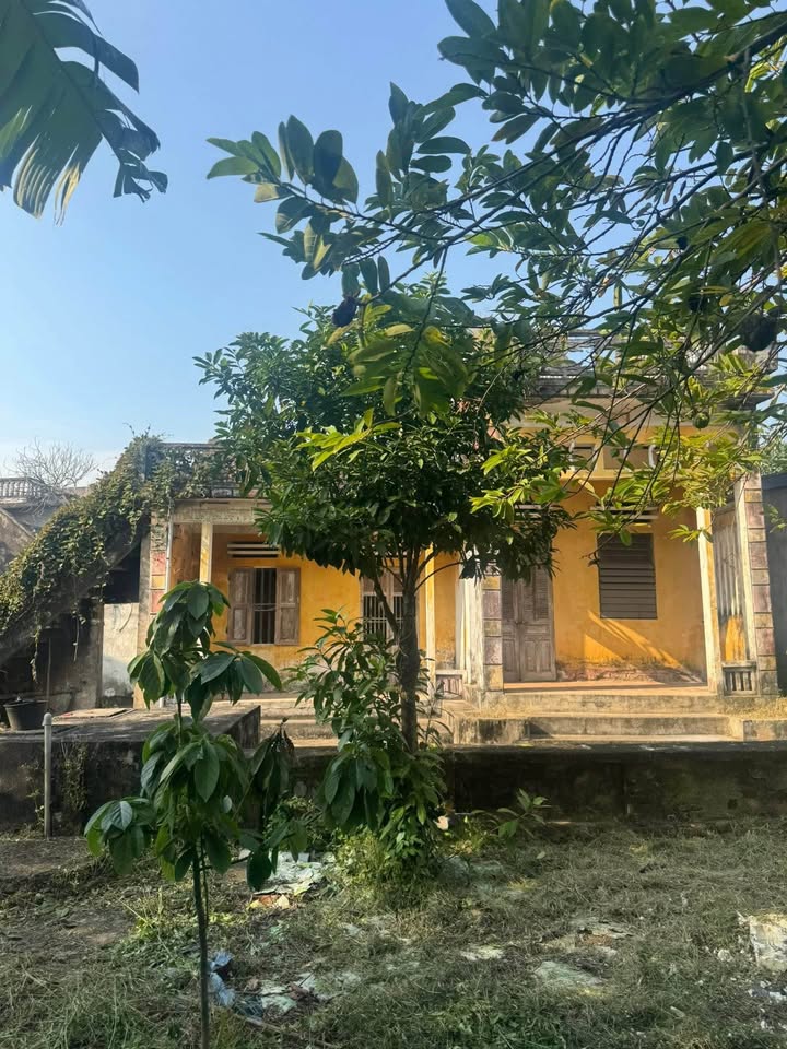 Bán nhà cấp 4 vuông vắn 236m² tại Mỹ Hà, Nam Định