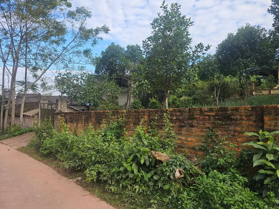 Đất Phúc Trìu 6300m2, mặt tiền 60m, giá chỉ 2,6 tỷ thoát ly thành phố