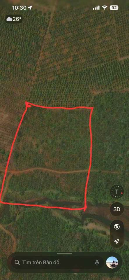 Cơ hội sở hữu ngay 1,3ha đất rẫy tại Đắk Hòa, Đắk Nông, chỉ cách đường nhựa 700m