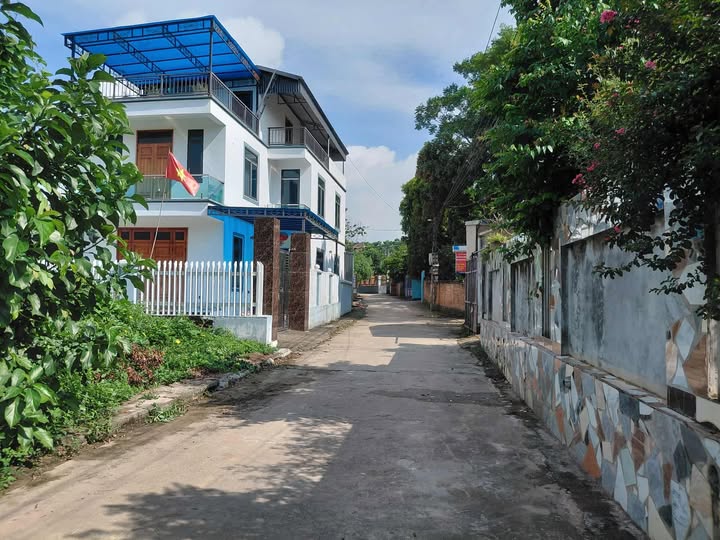 Đất Vĩnh Yên 98m2 full thổ cư, giá nhỉnh 1 tỷ, đường thông thoáng, hướng Tây Nam - Chốt ngay kẻo lỡ