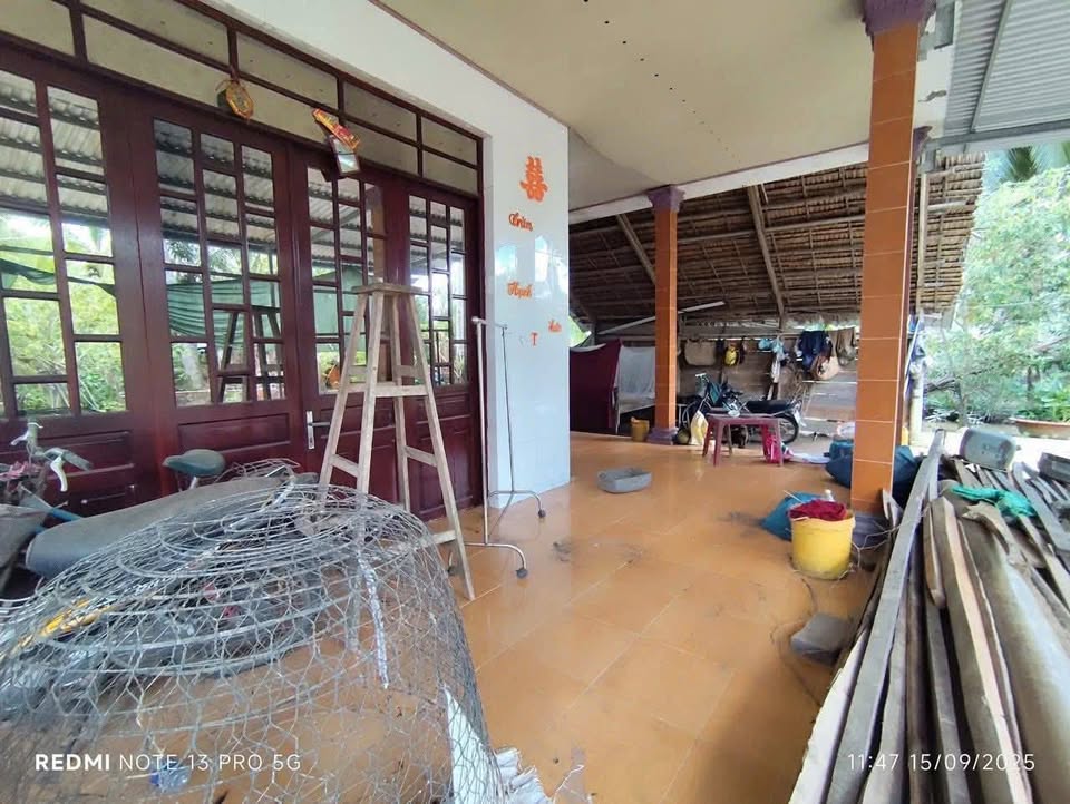 Bán nhà và đất 1.600m² mặt tiền sông tại Xã Tân Thành Bình, Châu Thành, Bến Tre