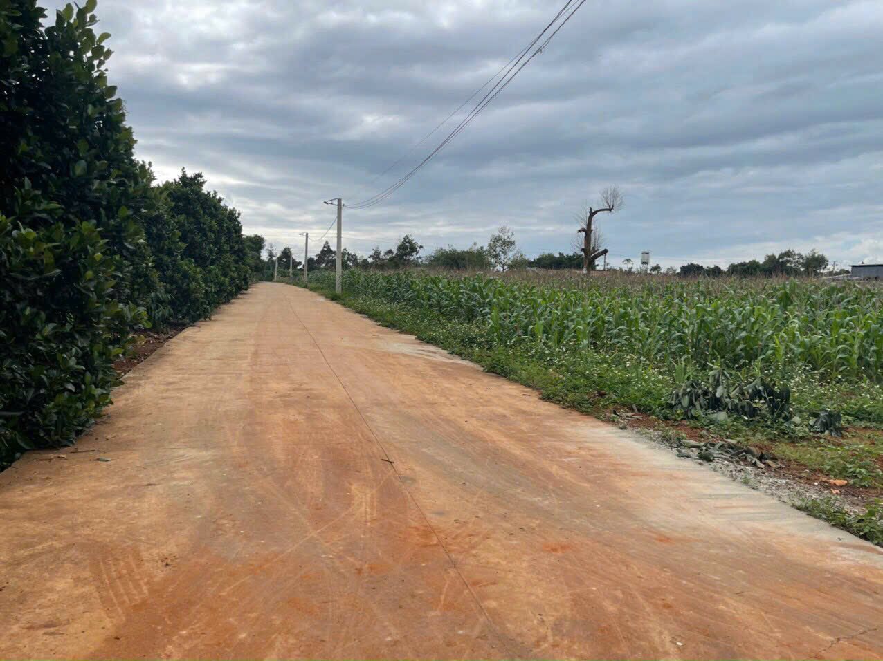 Bán lỗ đất đẹp 2 mặt tiền tại Cư Suê, Đắk Lắk, giá tốt