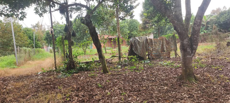 Bán đất vườn cây ăn trái 5,100m2 tại phường Bình Lộc, Long Khánh, Đồng Nai