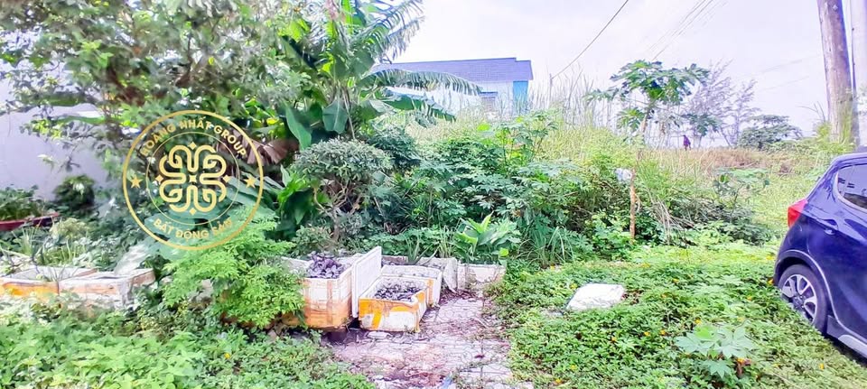 Tìm đâu ra mảnh đất góc 2 mặt tiền xịn sò tại Phường 5 cũ