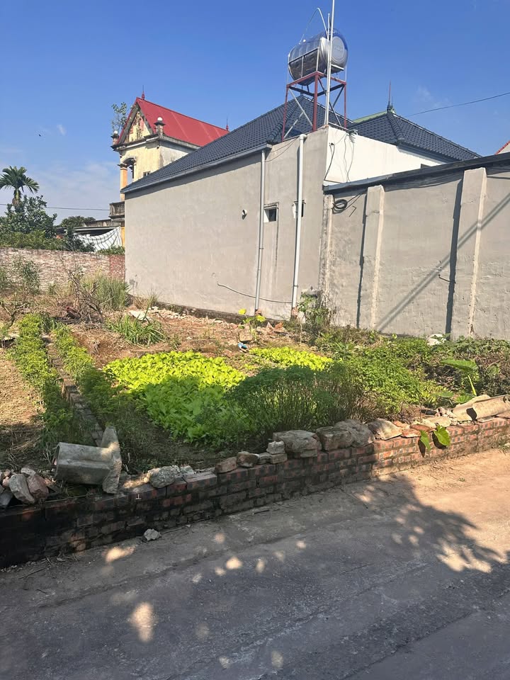 Chính chủ bán gấp nhà đất 100m2 Xuân Đỉnh, đường ô tô 7 chỗ, sổ đỏ chính chủ