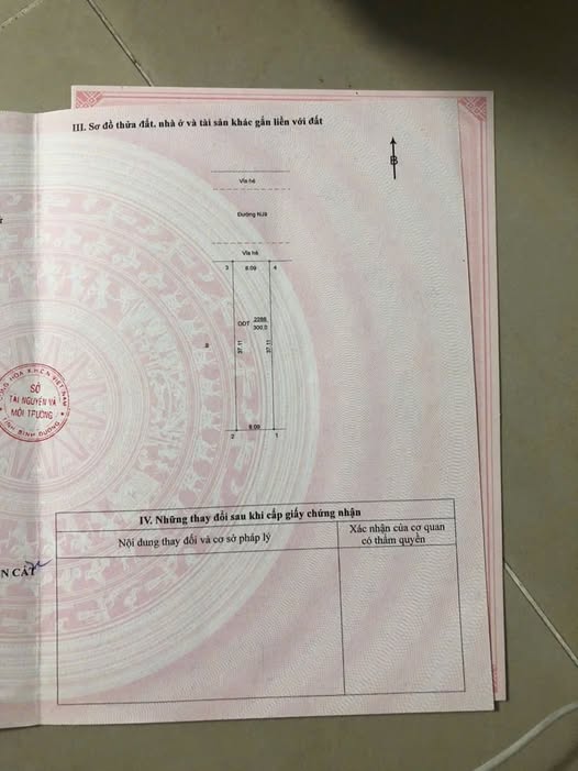 Đất vàng Bến Cát, 300m2 đường nhựa, đầu tư sinh lời