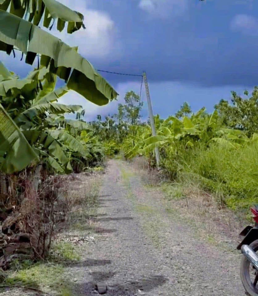 Cơ hội sở hữu ngay lô đất xào tuyệt đẹp tại Phú Lợi, Định Quán, Đồng Nai