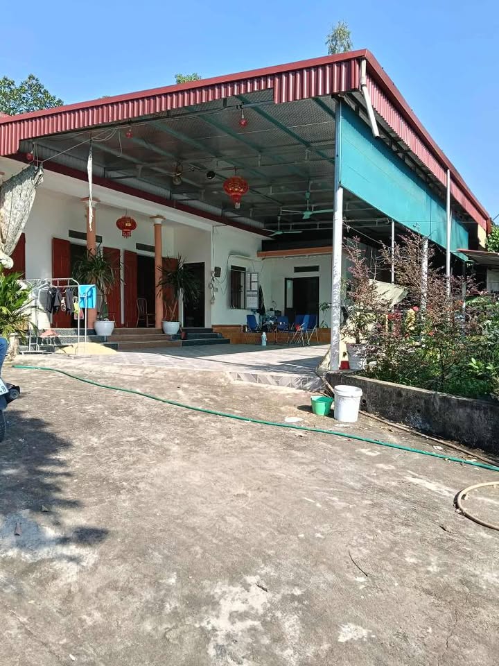 Nhà chăn nuôi chuyên nghiệp - đất rộng, 2 mặt đường, sẵn sàng đón chủ mới