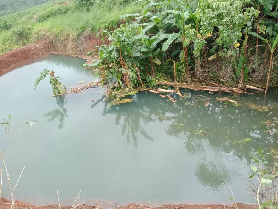 Đất rộng 2 ha tại Đắk Nông, cơ hội đầu tư sinh lời khủng