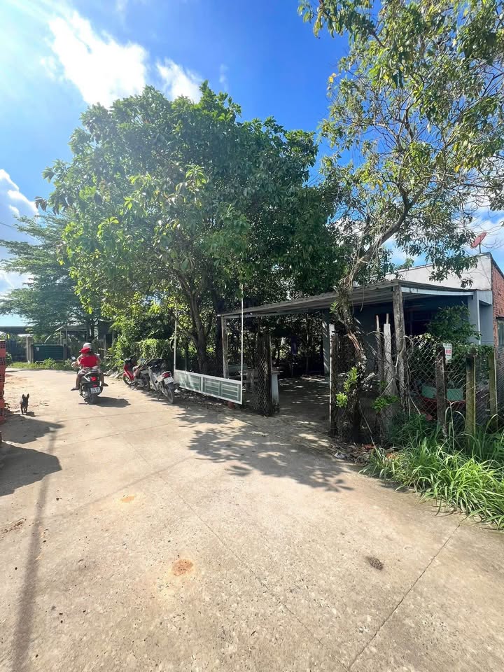 Nhà 7x48m Gò Dầu - Rộng rãi, kinh doanh vi vu, giá hời