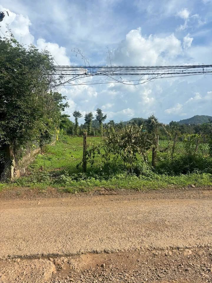 Cơ hội vàng sở hữu ngay lô đất thổ cư 120m² tại Thôn 8, phường Buôn Ma Thuột, tỉnh Đắk Lắk