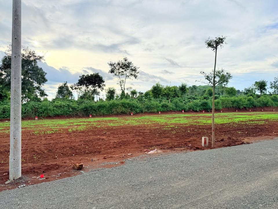 Đất xịn Lý Chính Thắng, 5m x 22m, full thổ cư, giá hời