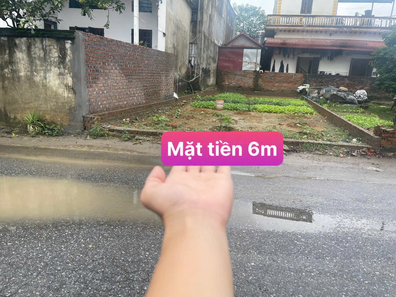 Cơ hội sở hữu ngay 98m² đất thổ cư full thổ cư tại trục đường chính Đồng Táng