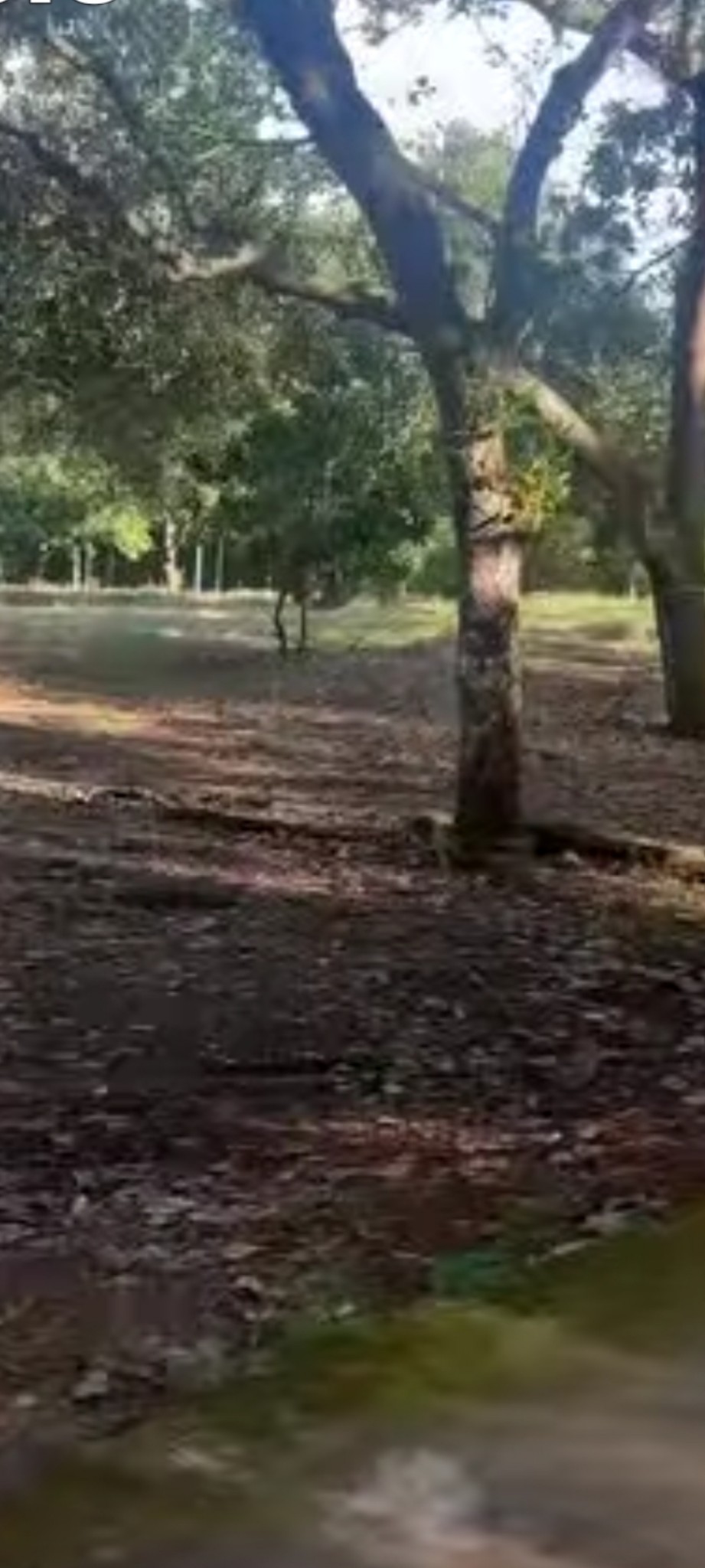 Tọa lạc tại vị trí đắc địa, ngay ngã ba cách nhựa chỉ 50m, khu vực Bình Thắng, huyện Chơn Thành