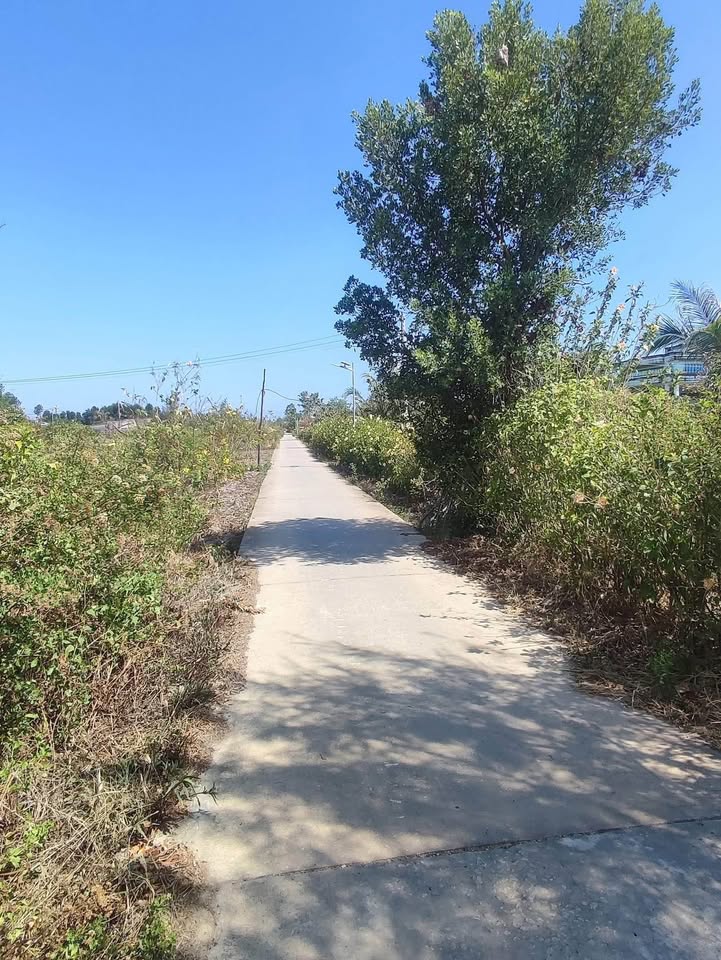 Miền đất tôm Vĩnh Hậu A - Nơi khởi nguồn phú quý