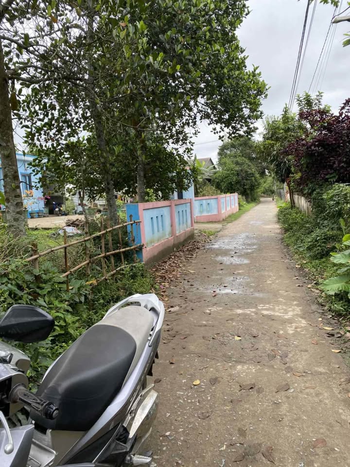 Bán đất Triệu Thuận - lô đẹp hướng đông nam, đường ô tô