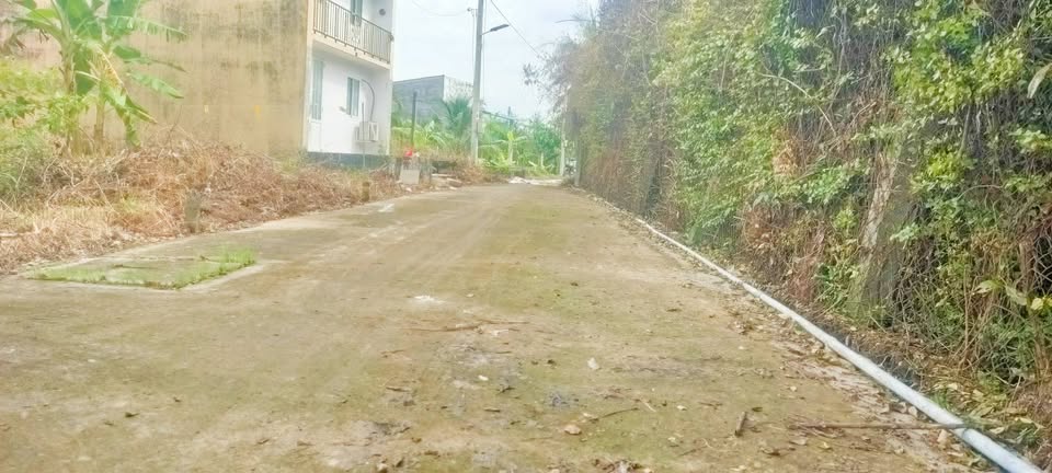 Đất nền thổ cư 5m x 20m sát chợ đêm Tân Hiệp, Tiền Giang, vị trí đắc địa, tiện ích đầy đủ