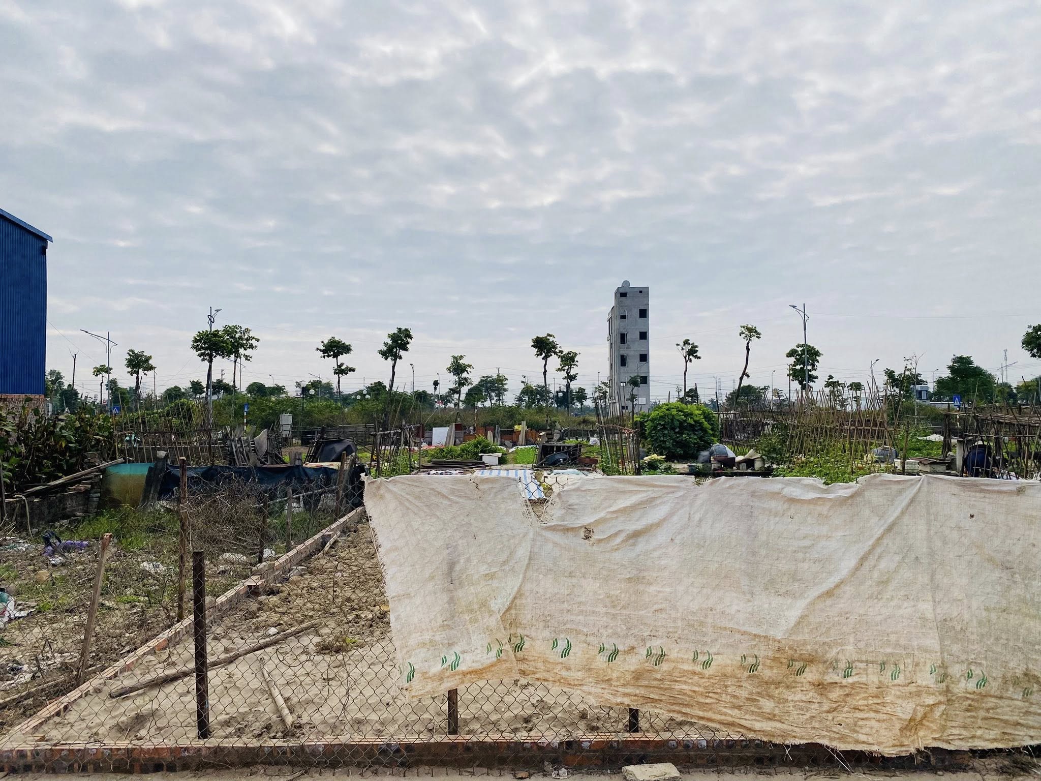 Bán đất đấu giá Thụy Lâm, Đông Anh - 87.5m², mặt tiền 5m, vỉa hè rộng