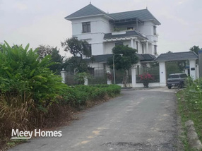 Chung cư Tất Xứng - An Hồng, tổ ấm lý tưởng