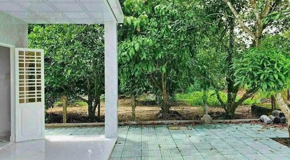 Nhà vườn 1200m2 Bình Dương, sổ sẵn, giá hời