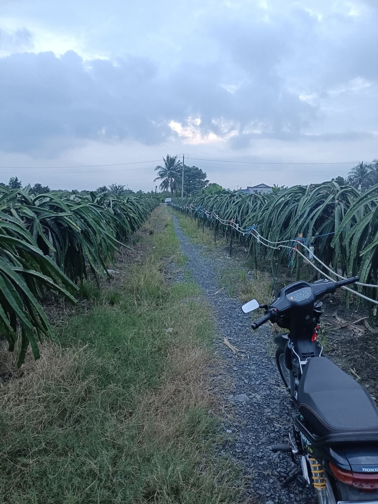 Đất Vĩnh Công 1600m2, sổ sẵn, giá iu thương 5xx triệu