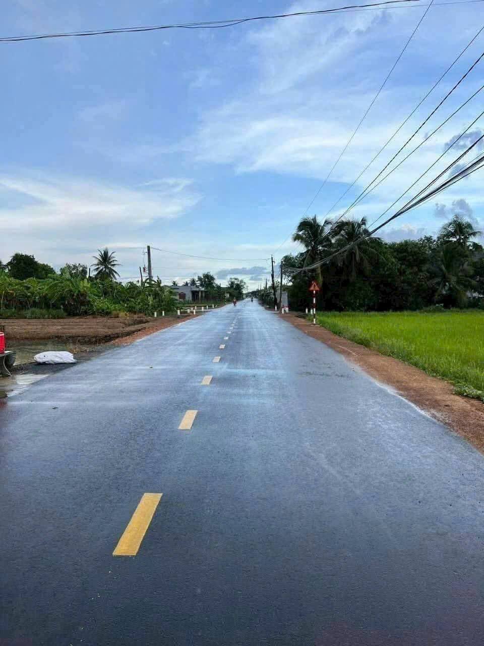 Đất lúa 941m2 giá 600 triệu, vườn hoa màu xanh mướt tại Tân Trạch