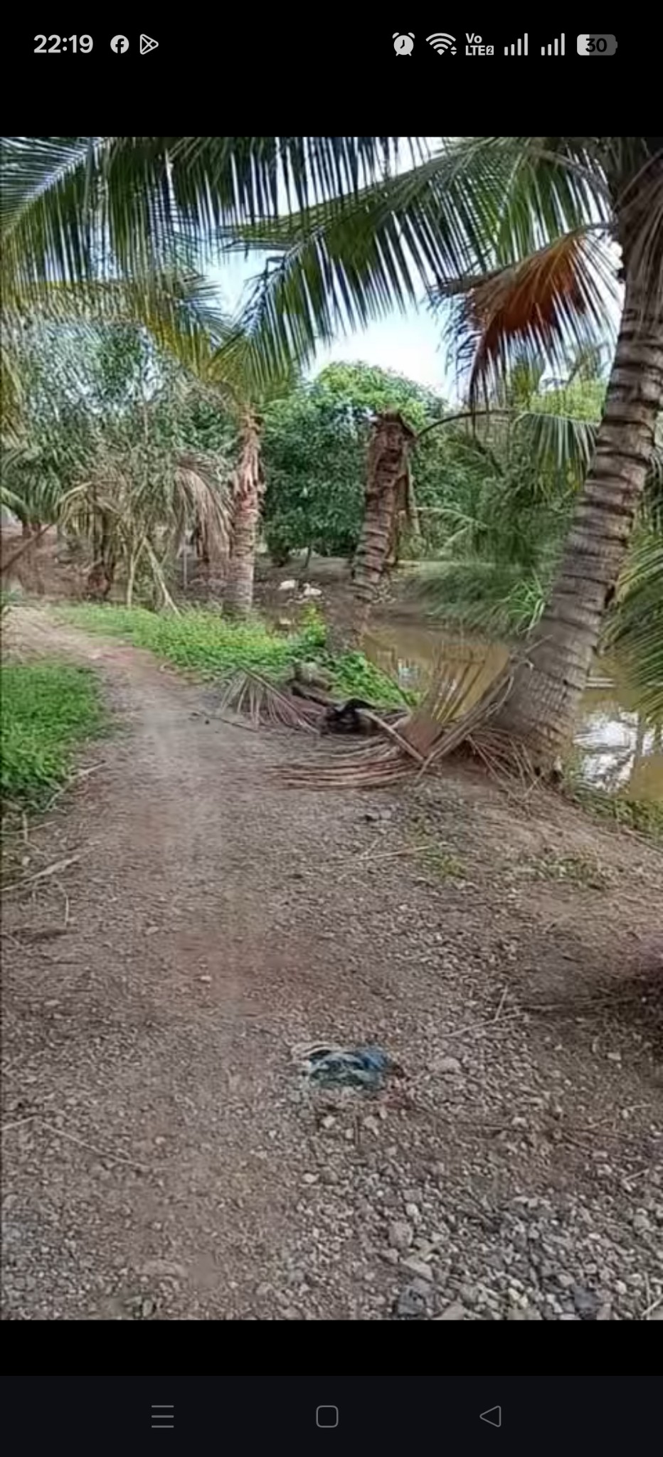 Cơ hội sở hữu đất vườn hiếm có tại ấp 1 Long Định, Cần Đước, Long An