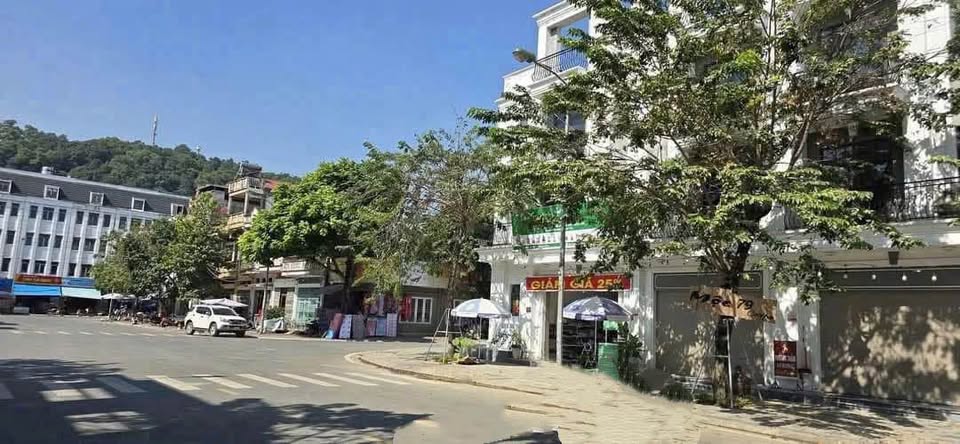 Liền kề Kim Tân kinh doanh đỉnh cao, hướng Đông Nam hiếm hoi