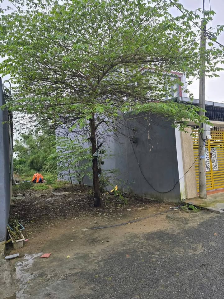 Chào mừng quý khách đến với "thiên đường" kinh doanh tại Dương Sơn, Hòa Xuân, Đà Nẵng