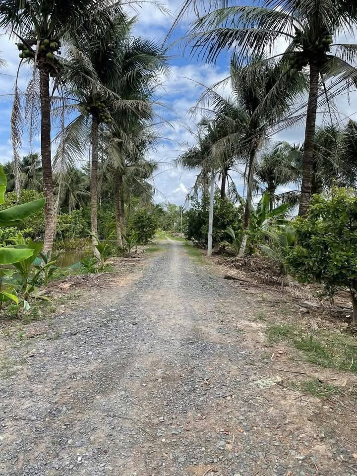 Bán nền thổ cư tại Phường Phú Khương, Thành phố Vĩnh Long