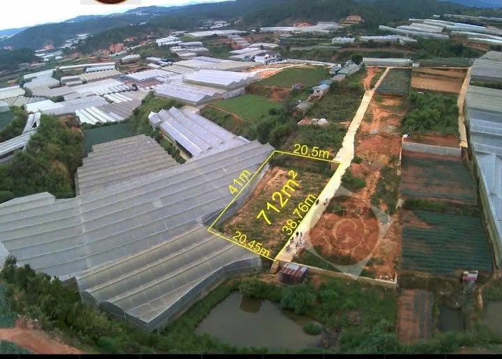 Cơ hội đầu tư không thể bỏ lỡ tại Phường 7, Đà Lạt