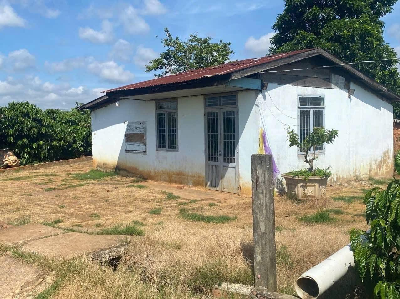 Đất vàng Đinh Văn Lâm Hà 12.5m x 24m, nở hậu 13.5m, giá 790 triệu bao sang tên