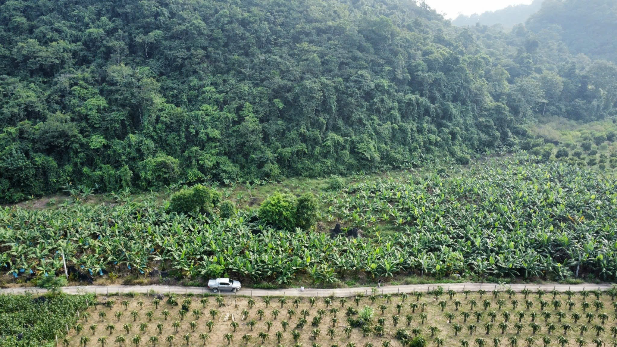 Chính chủ gửi bán mảnh đất cực phẩm rộng tới 6090m2, tọa lạc tại Lùng Pục, Phong Quang