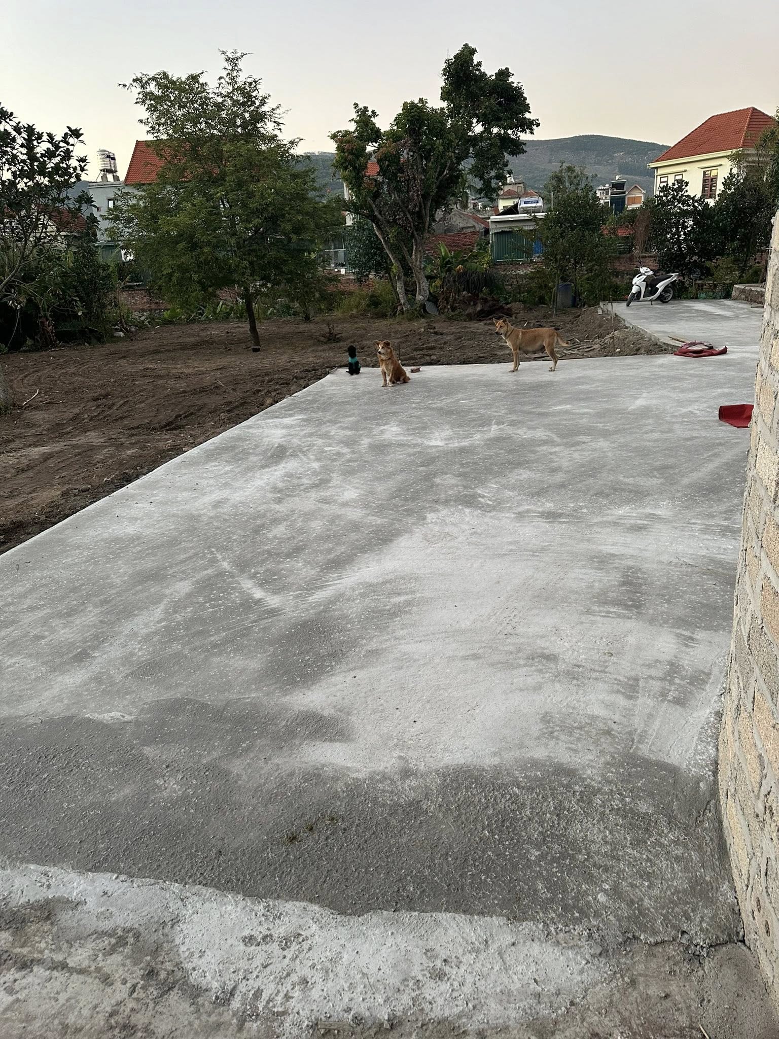 Bán đất Việt Hưng, Quảng Ninh - mặt tiền 5m, đường ô tô, giá tốt