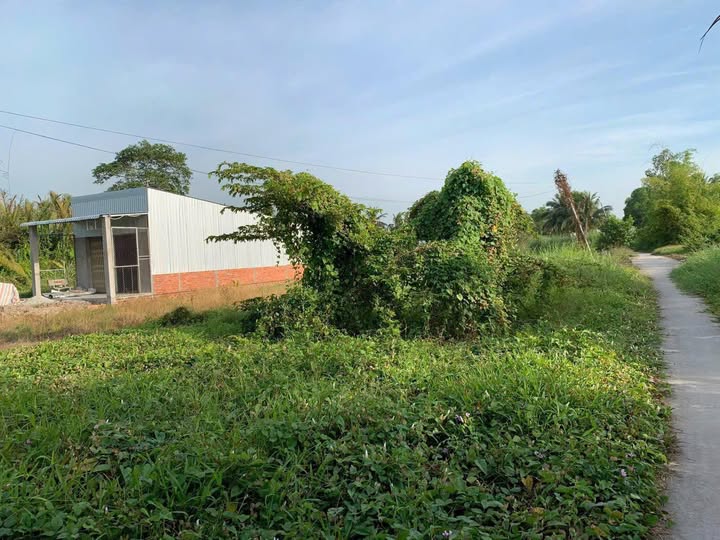 Em đang có lô đất cực đẹp diện tích 167.3m2 tại xã Thạnh Lộc, Châu Thành, Kiên Giang, sẵn sàng chờ chủ mới