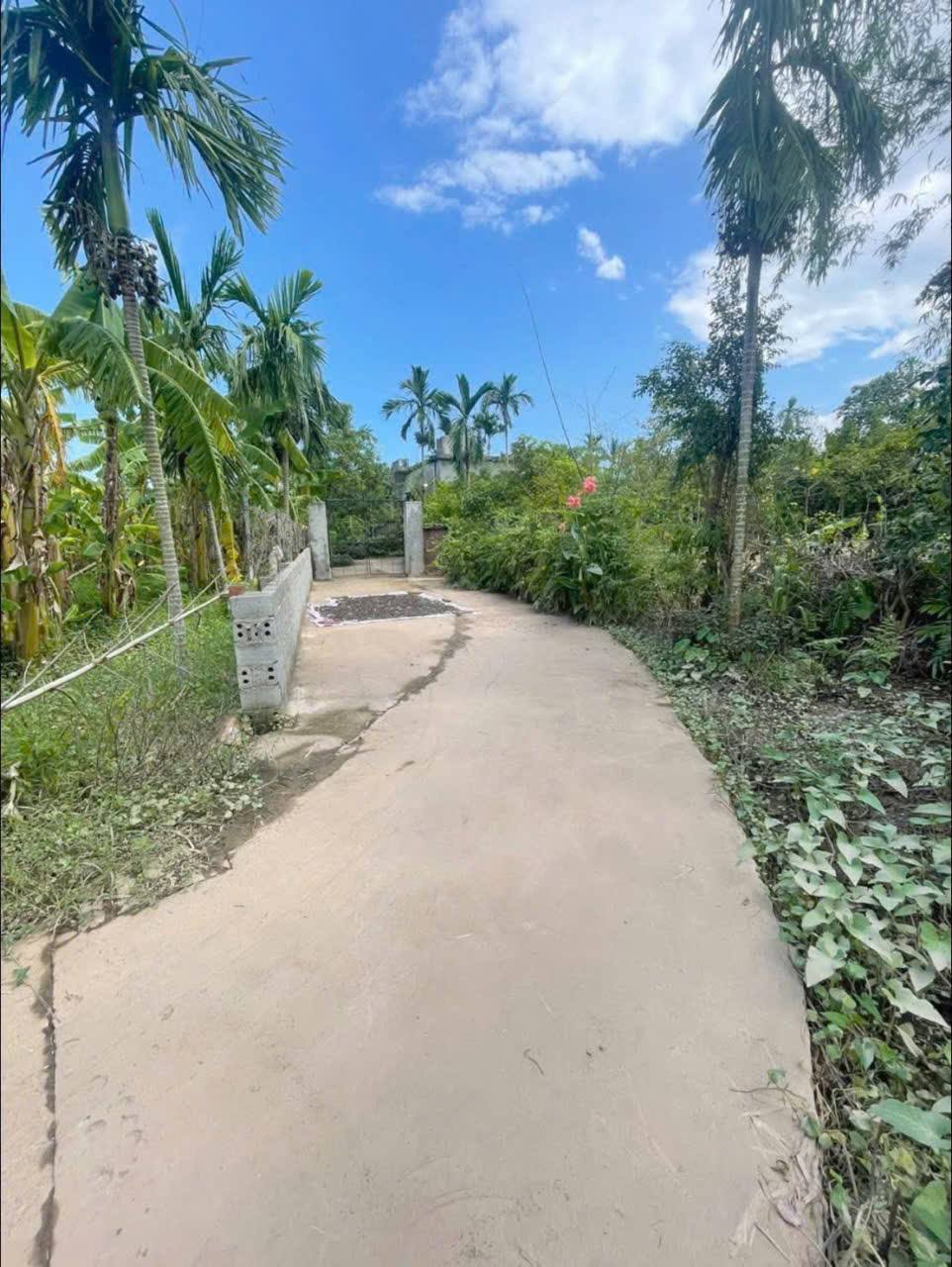 Chào mừng quý vị đến với mảnh đất vàng tại thôn Minh Thành, xã Tân Học