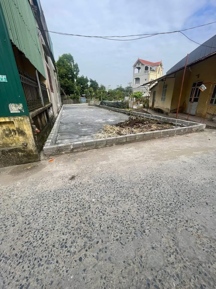 Đất Triều Đông, Tân Minh vị trí đắc địa, đón đầu quy hoạch, giá mềm