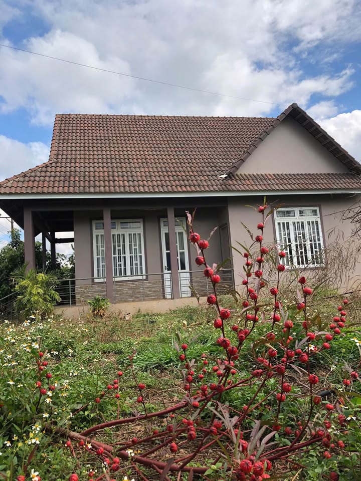 Bán nhà sân vườn rộng 120m² tại Tà Nung, Đà Lạt 1,520m² đất, sổ riêng