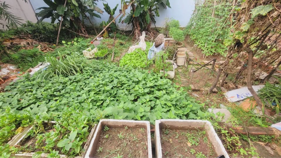 Đất Vàng An Thượng – sở hữu ngay với tài chính nhẹ nhàng