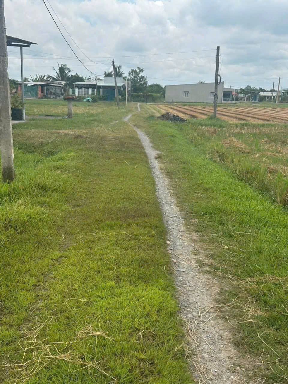 Cơ hội sở hữu ngay lô đất vàng tại Hoà Khánh Nam, Đức Hoà, Long An