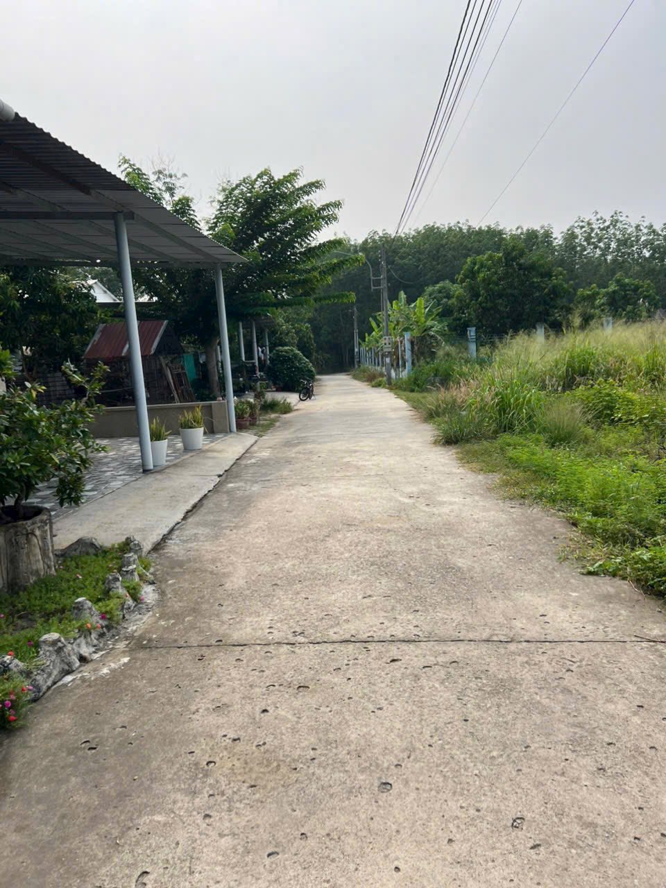 Mảnh đất vuông vắn, vuông vắn 5x31m tại Bàu Bàng, Bình Dương