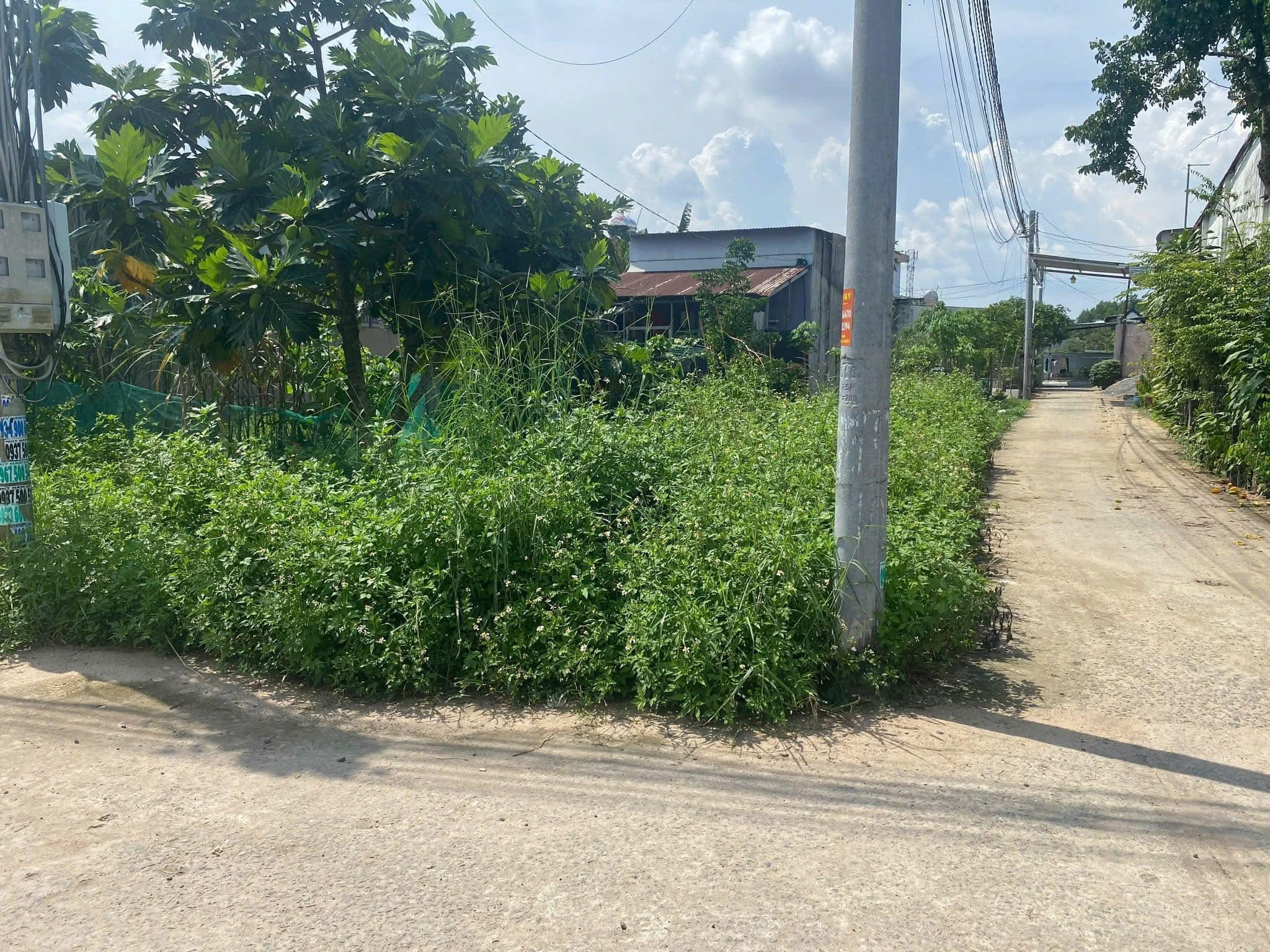 Đất vàng góc 2 mặt tiền An Phước, Long Thành