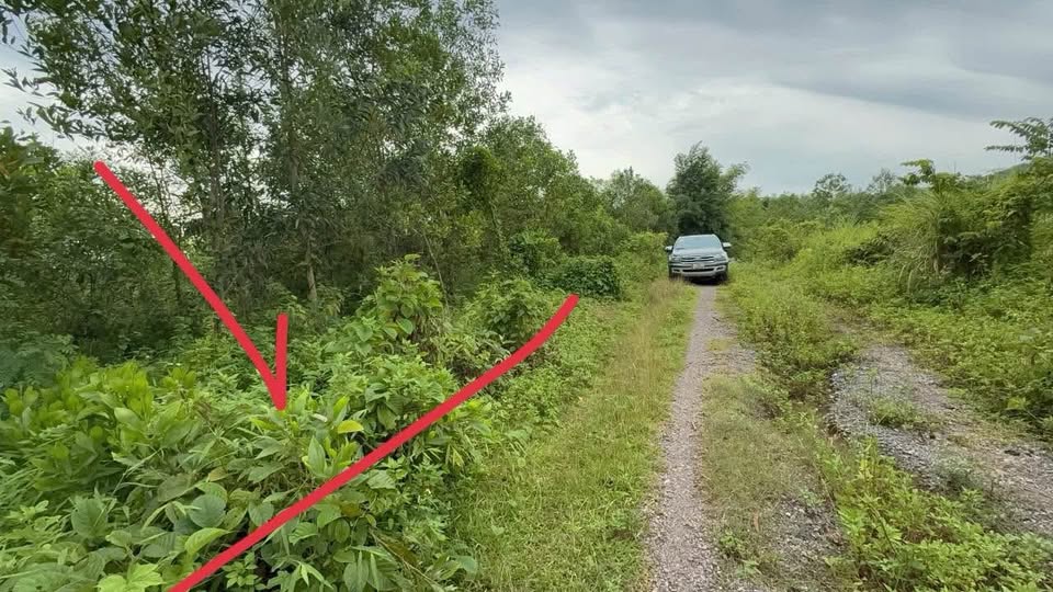 Với mặt tiền rộng 15m, hậu nở tới 16m, bám thẳng đường cấp phối, tha hồ xây dựng hay đầu tư sinh lời