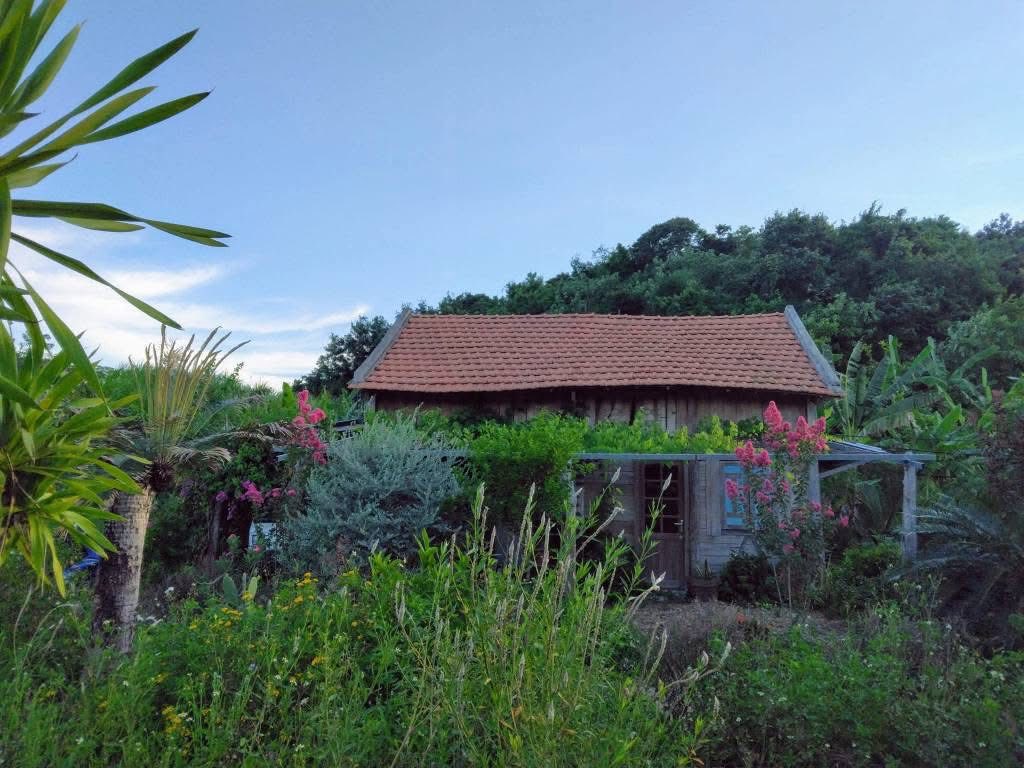 Đất view núi, suối róc rách, rừng sau lưng, tha hồ chill